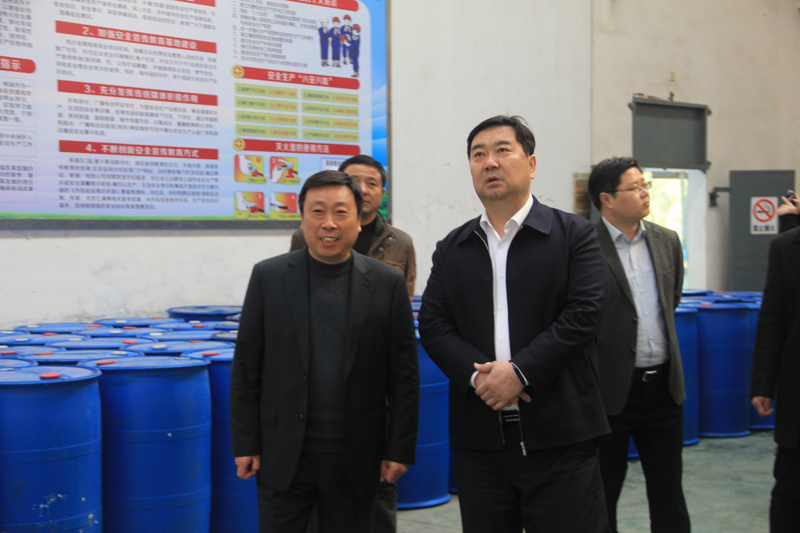 兴化市市委领导莅临锁龙消防检查安全生产工作
