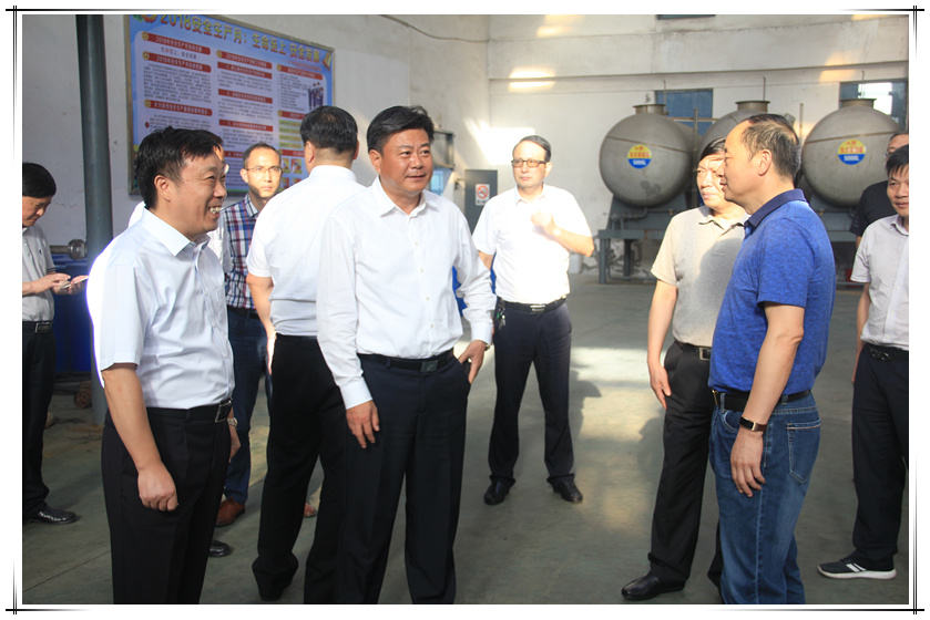 李卫国书记一行莅临锁龙公司视察指导工作